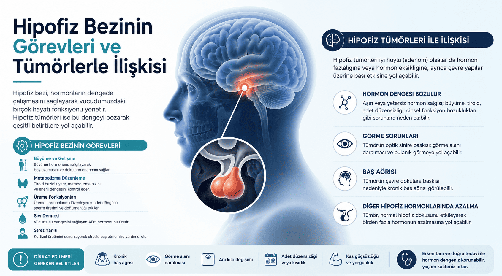 Hipofiz Bezinin Görevleri ve Tümörlerle İlişkisi